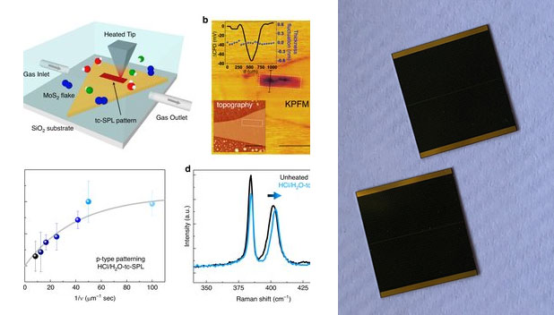 davood shahrjerdi gaas solar cells